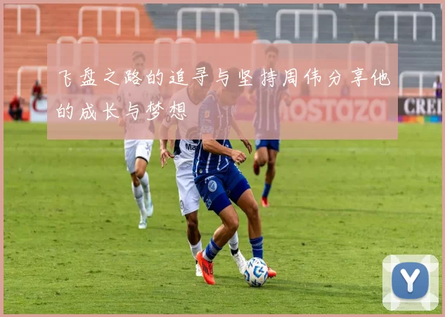 飞盘之路的追寻与坚持周伟分享他的成长与梦想