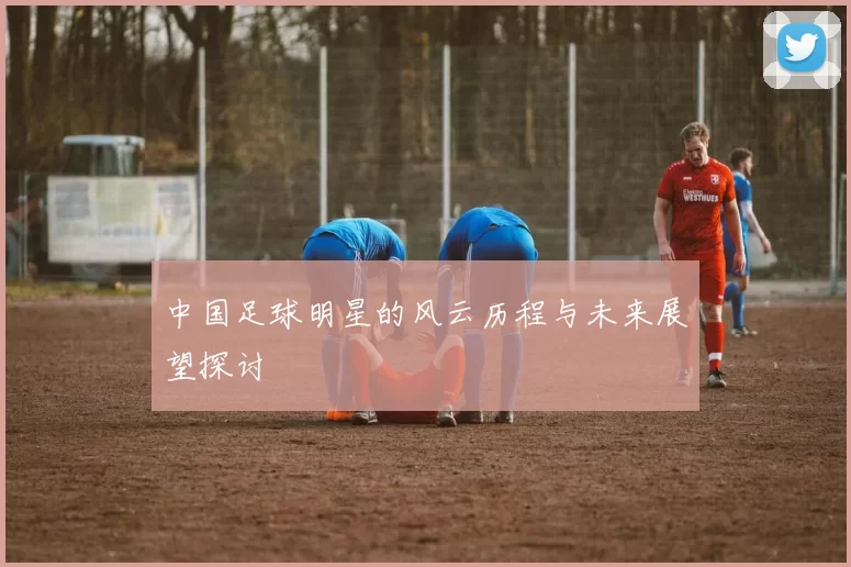 中国足球明星的风云历程与未来展望探讨