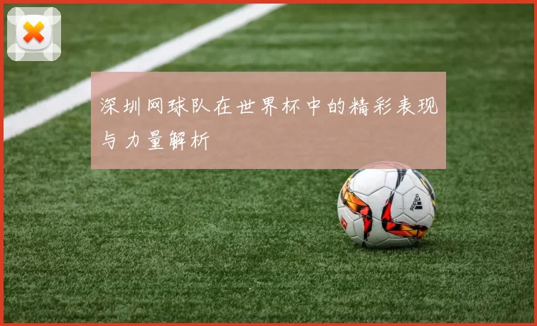 深圳网球队在世界杯中的精彩表现与力量解析