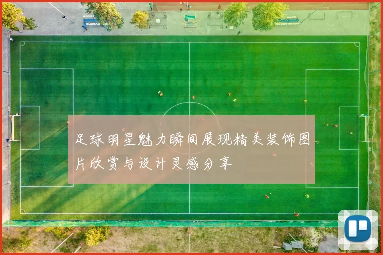 足球明星魅力瞬间展现精美装饰图片欣赏与设计灵感分享