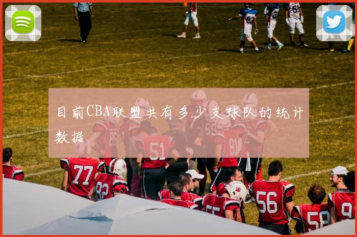 目前CBA联盟共有多少支球队的统计数据