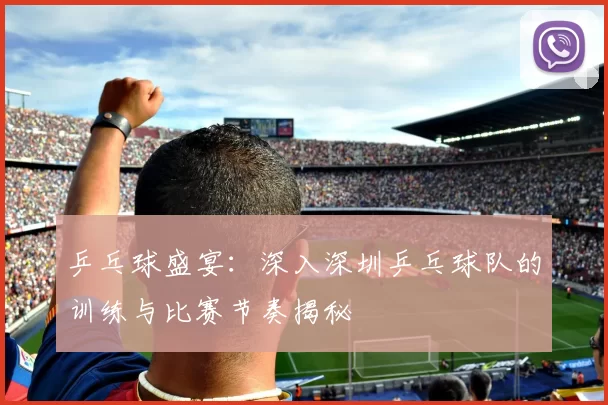 乒乓球盛宴：深入深圳乒乓球队的训练与比赛节奏揭秘