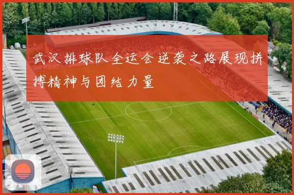 武汉排球队全运会逆袭之路展现拼搏精神与团结力量