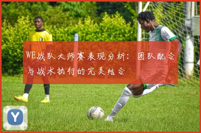 WE战队大师赛表现分析：团队配合与战术执行的完美结合