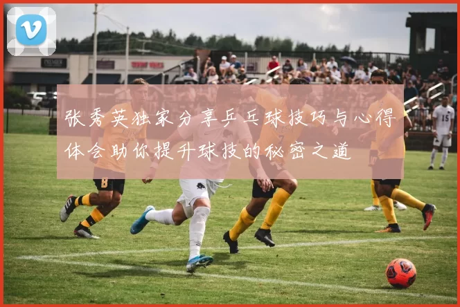 张秀英独家分享乒乓球技巧与心得体会助你提升球技的秘密之道