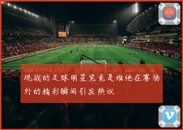 观战的足球明星究竟是谁他在赛场外的精彩瞬间引发热议