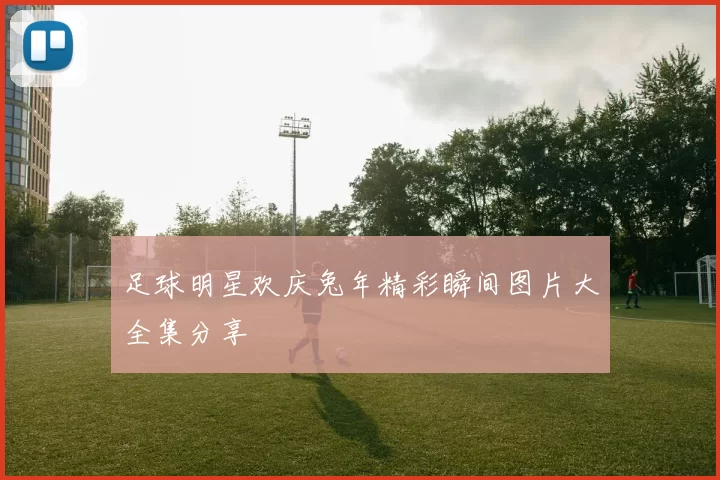 足球明星欢庆兔年精彩瞬间图片大全集分享