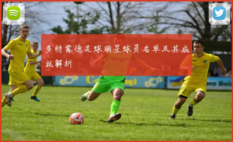 多特蒙德足球明星球员名单及其成就解析