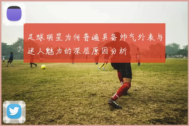 足球明星为何普遍具备帅气外表与迷人魅力的深层原因分析