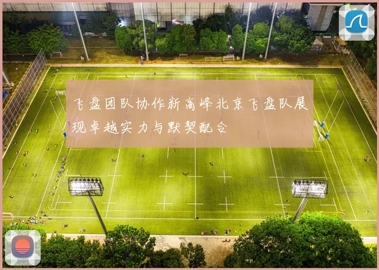 飞盘团队协作新高峰北京飞盘队展现卓越实力与默契配合