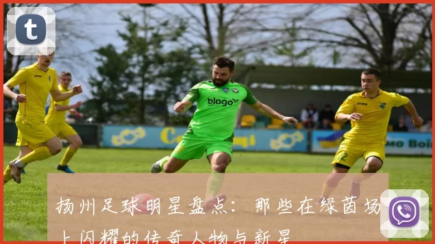 扬州足球明星盘点：那些在绿茵场上闪耀的传奇人物与新星