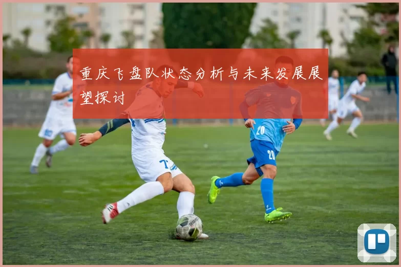 重庆飞盘队状态分析与未来发展展望探讨