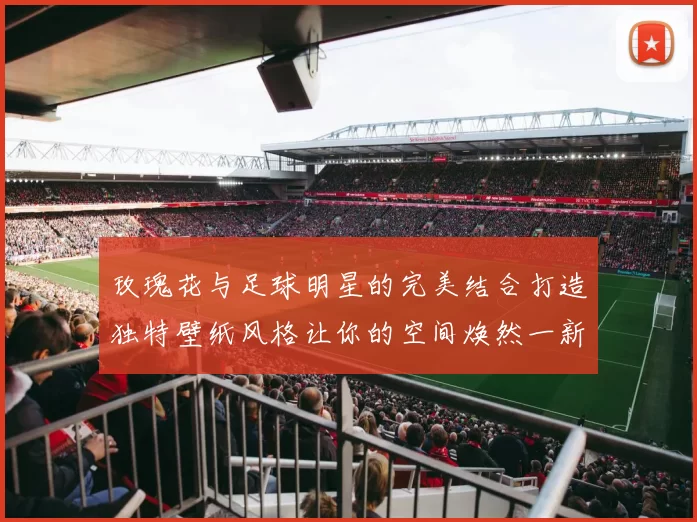 玫瑰花与足球明星的完美结合打造独特壁纸风格让你的空间焕然一新