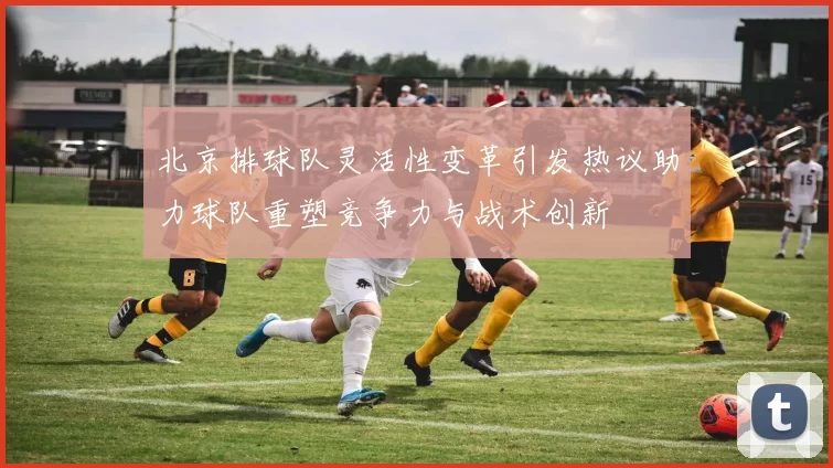北京排球队灵活性变革引发热议助力球队重塑竞争力与战术创新