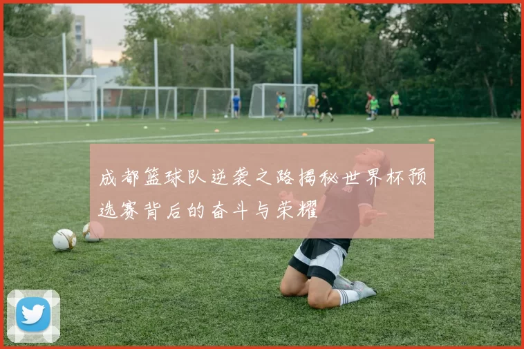 成都篮球队逆袭之路揭秘世界杯预选赛背后的奋斗与荣耀