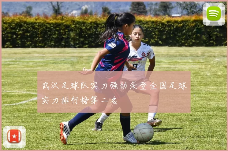 武汉足球队实力强劲荣登全国足球实力排行榜第二名