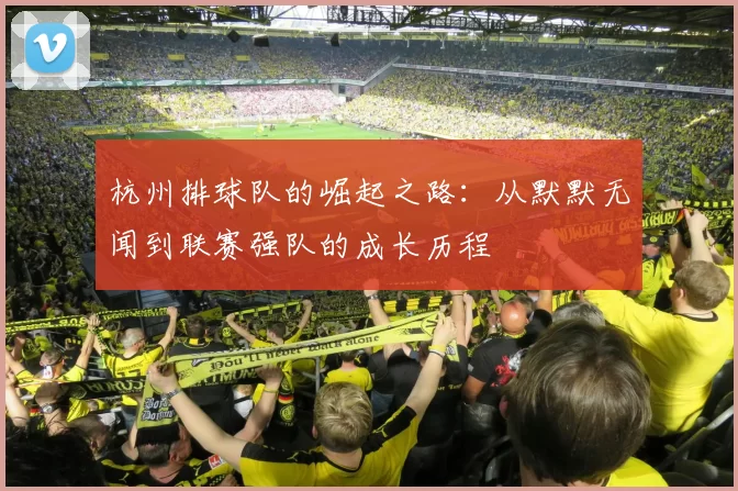 杭州排球队的崛起之路：从默默无闻到联赛强队的成长历程
