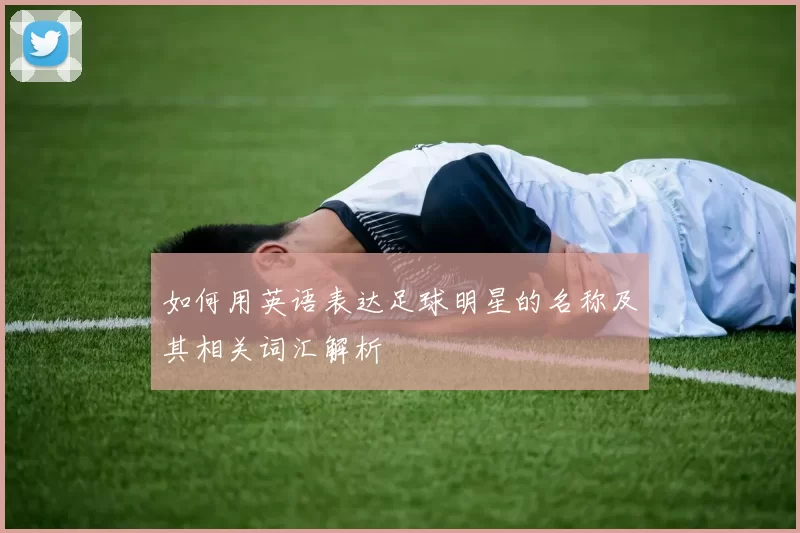 如何用英语表达足球明星的名称及其相关词汇解析