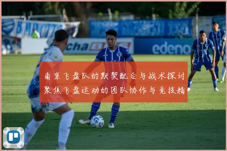 南京飞盘队的默契配合与战术探讨聚焦飞盘运动的团队协作与竞技精神