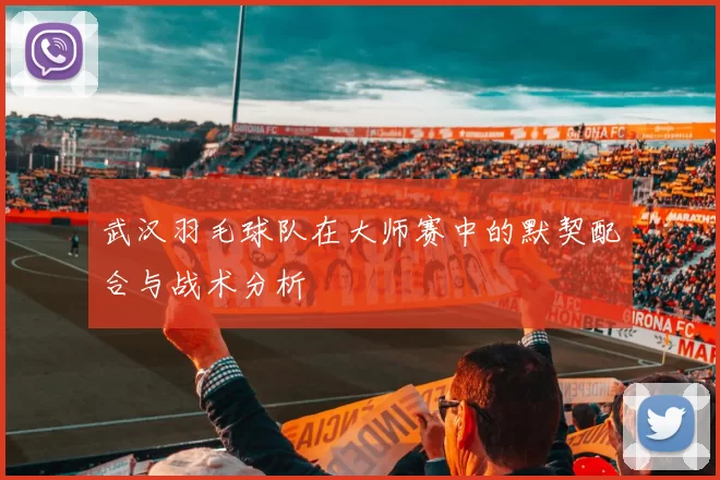 武汉羽毛球队在大师赛中的默契配合与战术分析