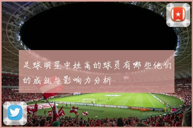 足球明星中姓高的球员有哪些他们的成就与影响力分析