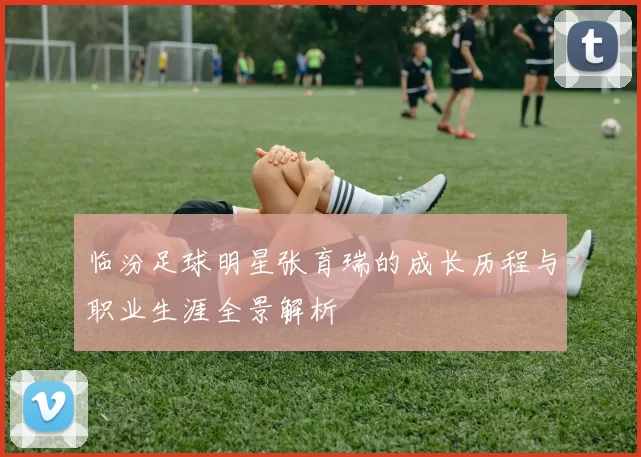 临汾足球明星张育瑞的成长历程与职业生涯全景解析