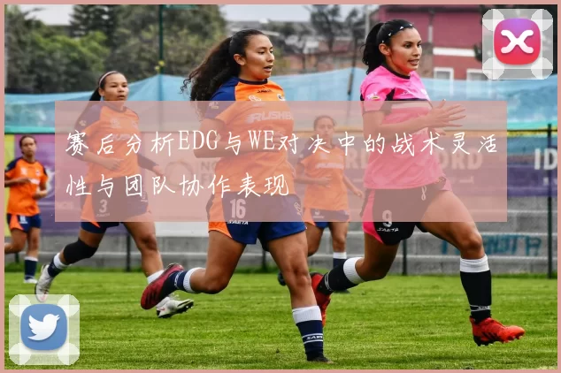 赛后分析EDG与WE对决中的战术灵活性与团队协作表现