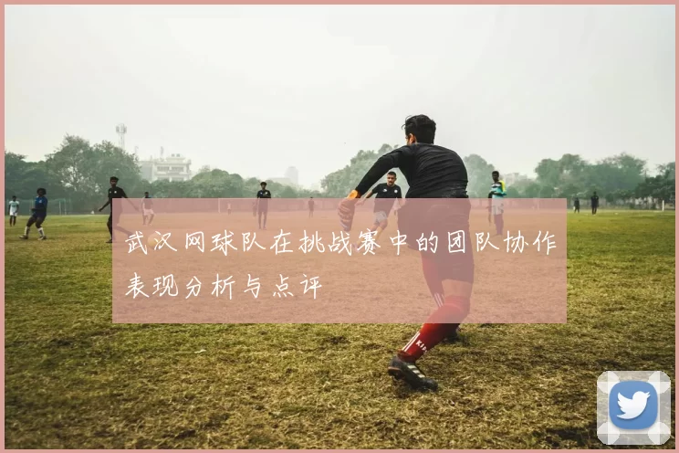 武汉网球队在挑战赛中的团队协作表现分析与点评