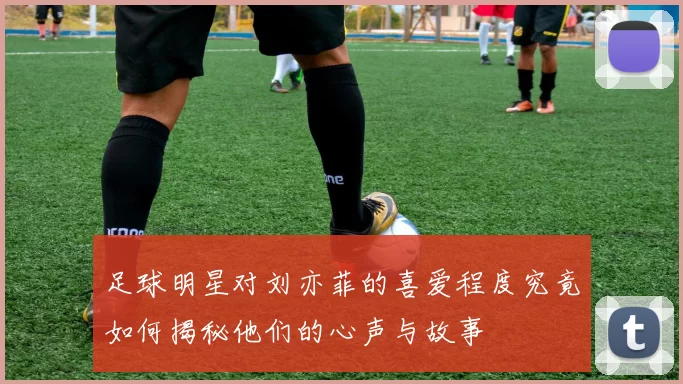 足球明星对刘亦菲的喜爱程度究竟如何揭秘他们的心声与故事
