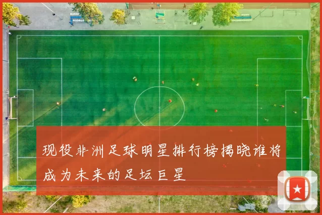 现役非洲足球明星排行榜揭晓谁将成为未来的足坛巨星